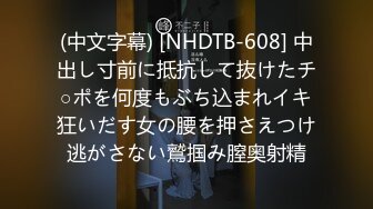 (中文字幕) [NHDTB-608] 中出し寸前に抵抗して抜けたチ○ポを何度もぶち込まれイキ狂いだす女の腰を押さえつけ逃がさない鷲掴み膣奥射精