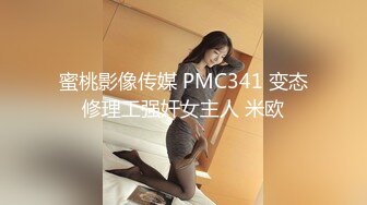 蜜桃影像传媒 PMC341 变态修理工强奸女主人 米欧