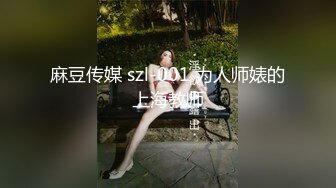 麻豆传媒 szl-001 为人师婊的上海教师